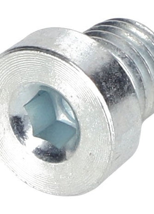 No product description available for AGCO Plug - Acp0296570: Close-up view of a silver hex socket head cap screw with a threaded body and a hexagonal socket in the head.