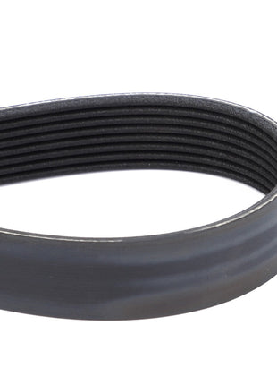 Close-up of an AGCO Genuine Serpentine Belt, Pk8 Profile - Acp0309760 coiled in a loop, showcasing its ribbed surface and precise profile to guarantee optimal performance.