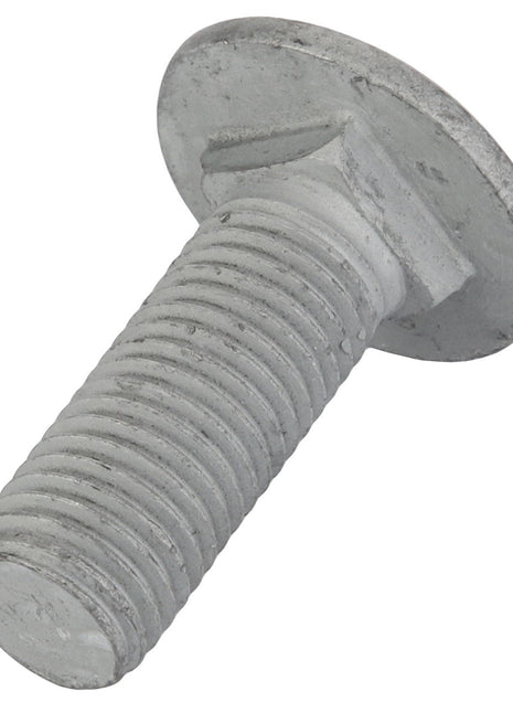 AGCO | Round Head Square Neck Carriage Bolt - Acw0995000 - Farming Parts