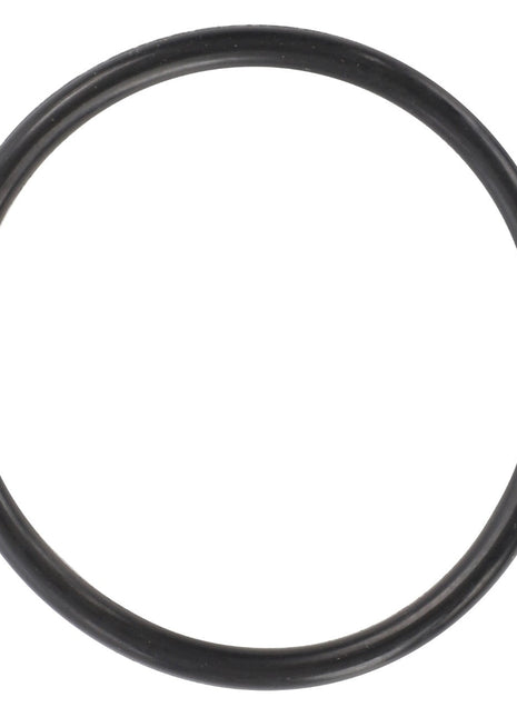 A black AGCO rubber O-ring (Model: F339300020120) against a white background. No current product description available.