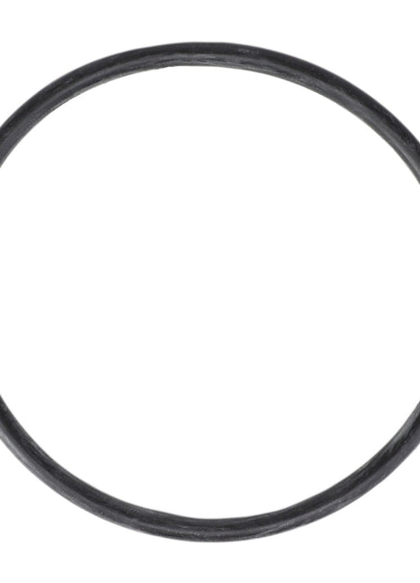 AGCO | O RING - E11329