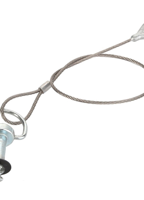 AGCO | Pin - Acp0419960 - Farming Parts