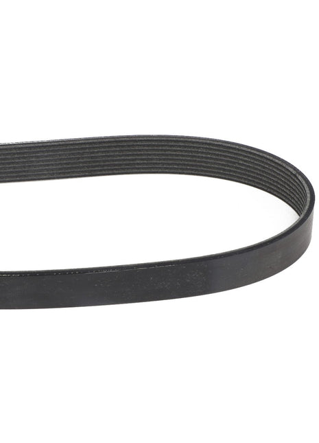 AGCO | BELT - A3289536