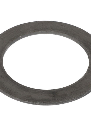 The AGCO WASHER - EP2387, a metallic washer featuring a circular hole in the center, is described; however, specific product description information is currently unavailable.