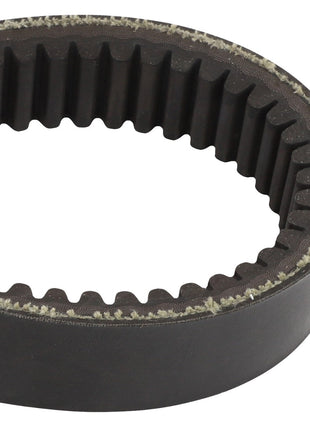 Close-up of the AGCO BELT - D41980900, a toothed, circular drive belt commonly used in machinery for power transmission. The inner surface features evenly spaced teeth. Product name: AGCO | BELT - D41980900 by the brand AGCO.