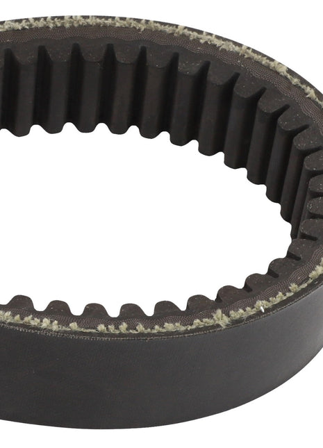 Close-up of the AGCO BELT - D41980900, a toothed, circular drive belt commonly used in machinery for power transmission. The inner surface features evenly spaced teeth. Product name: AGCO | BELT - D41980900 by the brand AGCO.