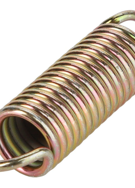 The AGCO | SPRING - D26500317 by AGCO is a coiled metal spring featuring a hook on each end and showcasing a multicolored, reflective metallic surface. No additional product description information is currently available.