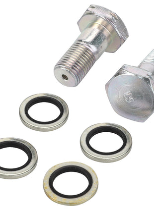 Two metal bolts and five circular washers with black rubber interiors from the AGCO Seal Kit, Hydraulic Upper Link - F737870051040, arranged on a white background.