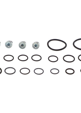 AGCO | Seal Kit - Acp0296600 - Farming Parts