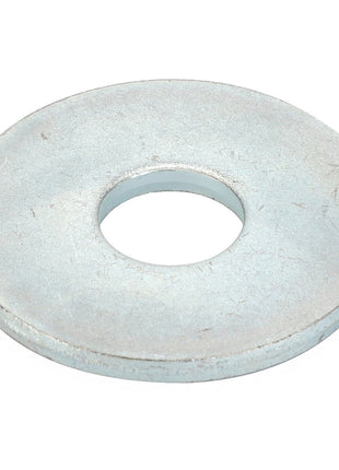 AGCO | WASHER - V30438400
