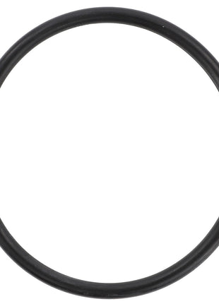 An AGCO O-Ring - 70924158, a genuine black rubber seal designed for high-performance demands, lays flat on a white background.