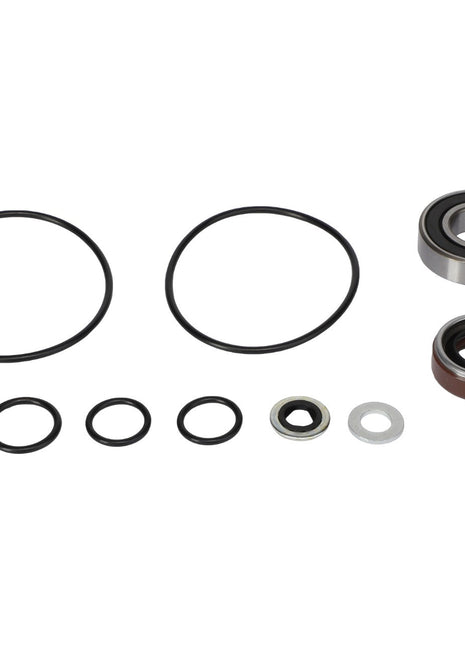 AGCO | Hydraulic Motor Seal Kit - Acp0301720 - Farming Parts
