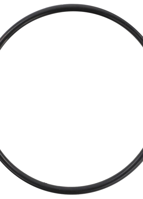 The AGCO O Ring - 3004908X1, a black rubber O-ring from the AGCO brand, is displayed on a white background. No current product description is available.