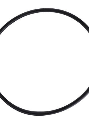 An AGCO black circular rubber O-ring, model F260860060010, with no current product description available.