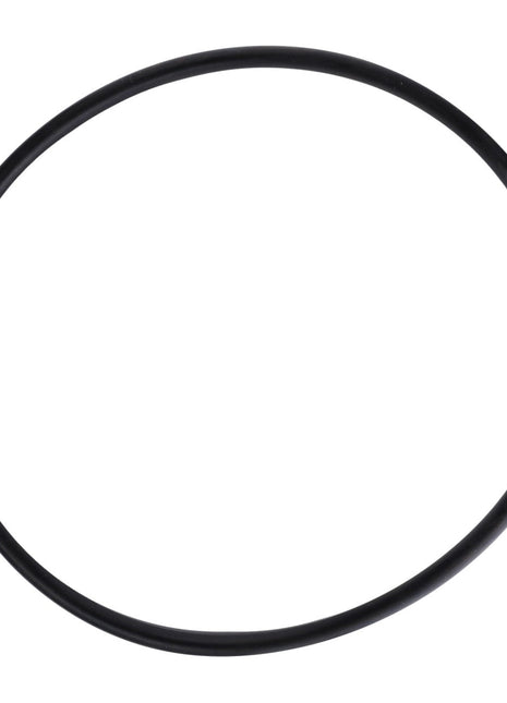An AGCO black circular rubber O-ring, model F260860060010, with no current product description available.