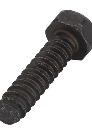 No current product description information is available for the AGCO | Hex Tapping Screw - Acw2920450, made of black metal with a threaded shaft, set against a white background.