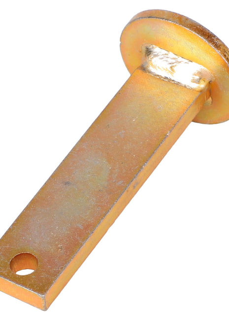 The AGCO | Chain Connector - 113309M1 by AGCO is a golden metal bracket designed with a circular end and a rectangular body. It features a hole at one end for easy mounting. Further product description is currently unavailable beyond these specifications.