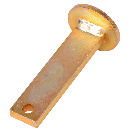 The AGCO | Chain Connector - 113309M1 by AGCO is a golden metal bracket designed with a circular end and a rectangular body. It features a hole at one end for easy mounting. Further product description is currently unavailable beyond these specifications.
