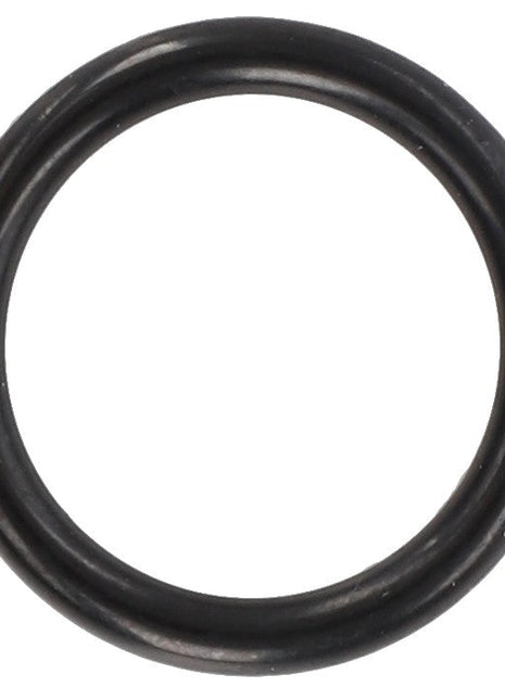 AGCO | O-RING - F916961020050