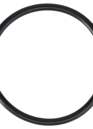 A close-up view of the AGCO O-Ring - CH6K-6307 against a white background.