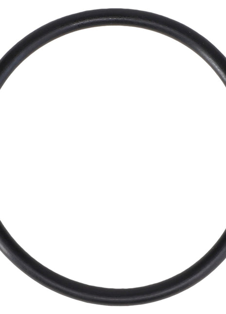 A close-up view of the AGCO O-Ring - CH6K-6307 against a white background.