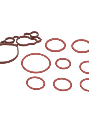 A collection of AGCO Seal Kit - Acp0597490 red rubber O-rings in various sizes is arranged on a white background. Currently, no detailed product description is available.