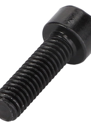 The AGCO Socket Head Setscrew (Acw0937970) is a black, threaded hexagonal socket head cap screw, likely made of metal. No current product description information available.