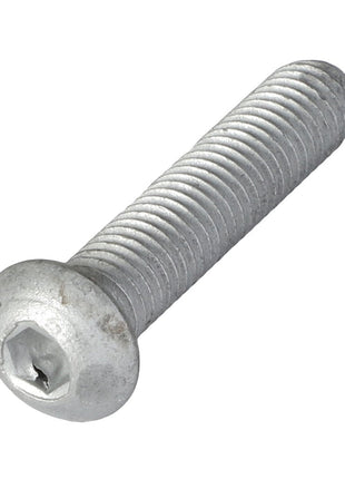 A close-up image of the AGCO Hex Socket Screw - Acw5118180 reveals its threaded body and flat, rounded top.