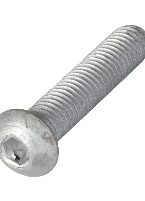 A close-up image of the AGCO Hex Socket Screw - Acw5118180 reveals its threaded body and flat, rounded top.