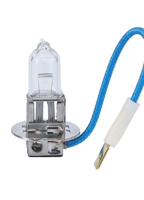 An AGCO 12V 55W H3 halogen light bulb, model AG331695, featuring a blue insulated wire attached to its metal base and crafted from high-grade manufacturing materials.