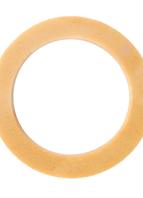 AGCO | SEALING WASHER - F718860060030