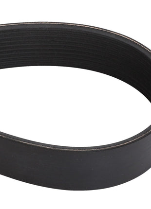 Close-up photo of an AGCO | Belt - Acw0152910, a black rubber belt looped into an oval shape. No current product description available.