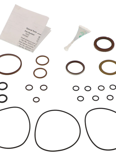 The AGCO SEAL KIT - AG714825, featuring an assorted set of O-rings, seals, a small tube of lubricant, and an instruction sheet, is carefully arranged on a light background. No current product description information available.