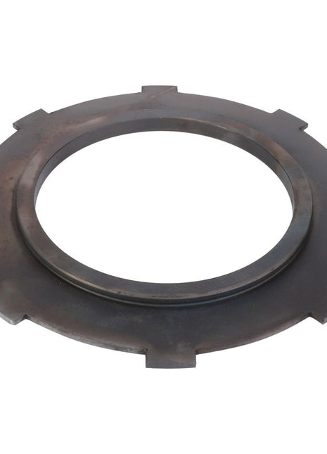AGCO | Clutch Plate, Wet Clutch - 3813028M1 - Massey Tractor Parts