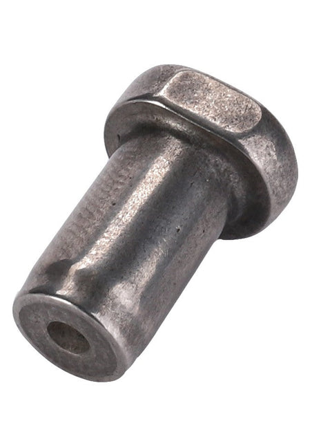 AGCO | Clevis Pin - F100002236578 - Farming Parts