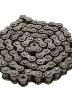 AGCO | Chain - Sf05020016 - Farming Parts