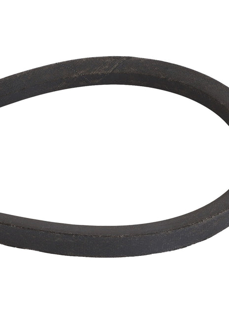 A durable black rubber V-belt, the AGCO | Belt - 795582M2 from AGCO, contoured in a sleek oval shape.