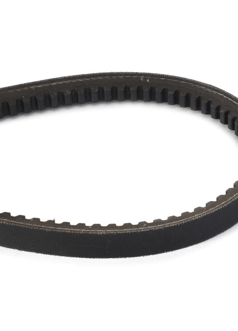 The AGCO Drive Belt, Hydrostatic Pump and Power Take-Off - D41904200, features a black rubber composition with a toothed inner surface, forming an oval loop for optimal performance and noise reduction.