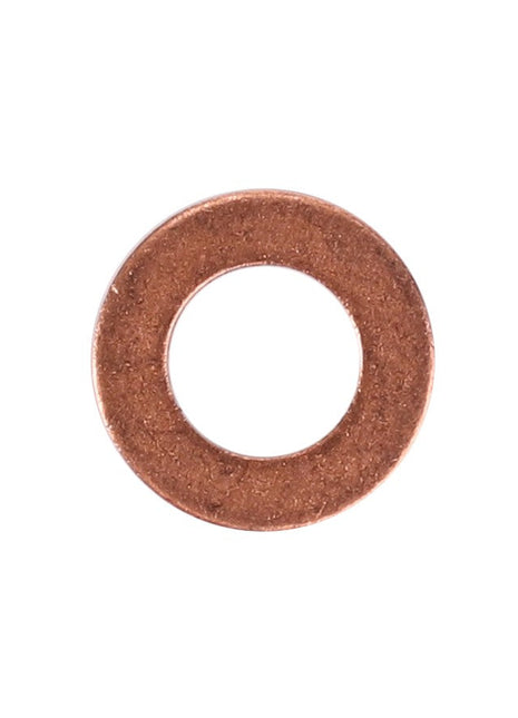 A small, circular, flat copper washer with a central hole, AGCO Seal Injector Nozzle - F119200710650, perfect for repair and maintenance tasks, viewed against a white background.