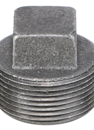 Close-up of the AGCO | PIPE PLUG - AG557323 with a square head. The threads are clearly visible, and the surface has a textured finish.