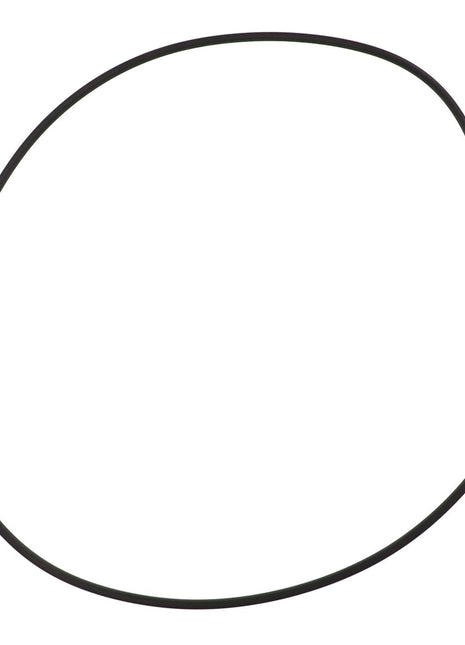 The AGCO | O-Ring - Acw1641890 is a black rubber O-ring with an irregular circular shape; currently, there is no product description information available.