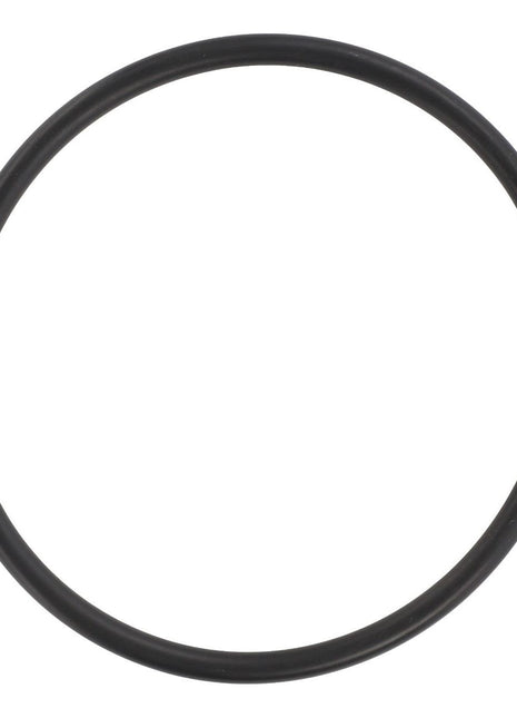 AGCO | O-Ring - 392022X1 - Massey Tractor Parts