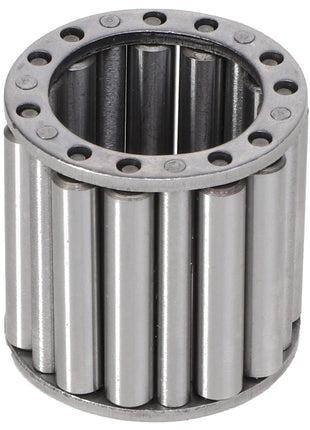 AGCO | Needle Roller Bearing - K4650V