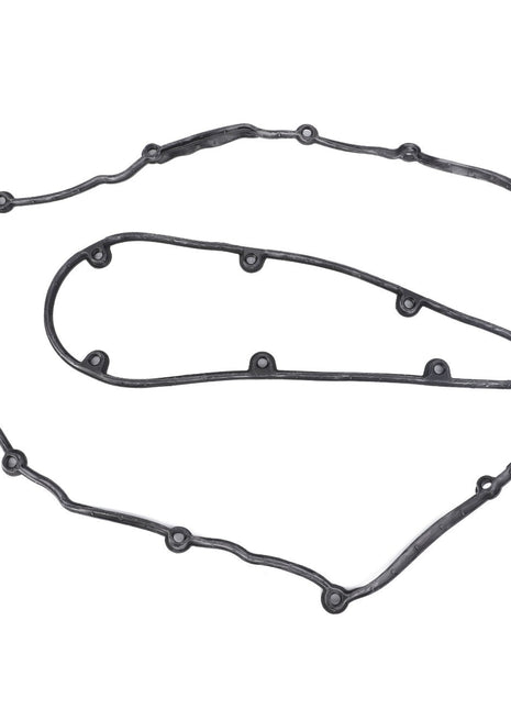 An irregularly shaped AGCO rubber gasket (Acp0153600) with multiple mounting holes, specifically designed for sealing engine components.
