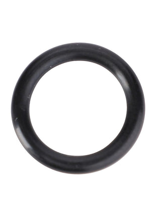 AGCO | O-Ring - 3019913X1 - Massey Tractor Parts