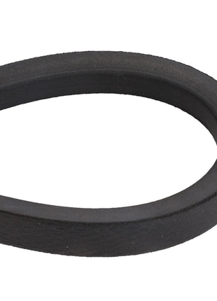 AGCO | V BELT - D41955900