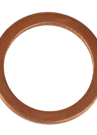 The AGCO Washer - Acp0445650 is a round copper washer featuring a smooth surface and uniform thickness, isolated on a white background. No current product description available.