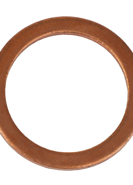 The AGCO Washer - Acp0445650 is a round copper washer featuring a smooth surface and uniform thickness, isolated on a white background. No current product description available.