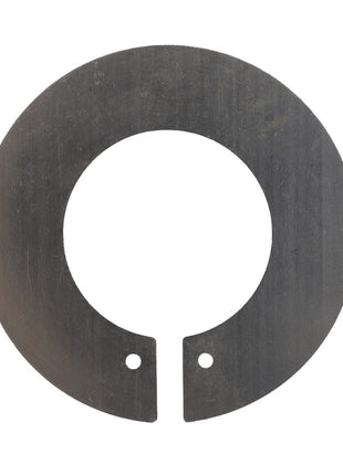The AGCO PROTECTIVE PLATE - V30605200 is a flat, circular metal washer featuring a notch and two small holes near the inner edge. No additional product description information is available at this time.