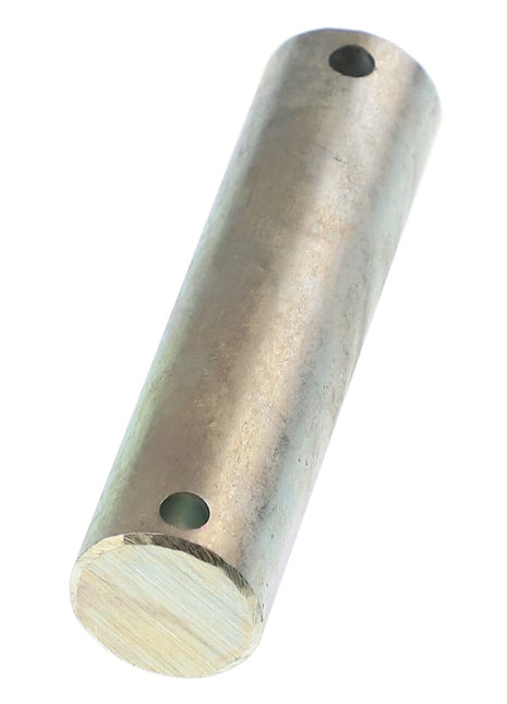 AGCO | Hydraulic Cylinder Pin - Acp0016120 - Farming Parts